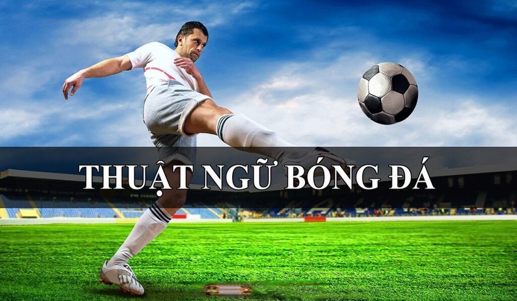 thuat-ngu-bong-da-tong-hop-day-du-tu-a-z-cho-nguoi-moi-va-dan-ca-cuoc-20263